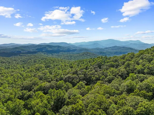 5.5 Acre Forest Service Road 35, Blue Ridge, GA 30513