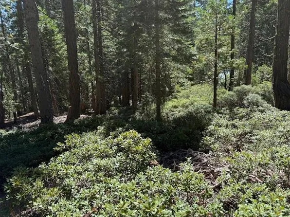 2780 Cedarview Ct, Strawberry Valley, CA 95981