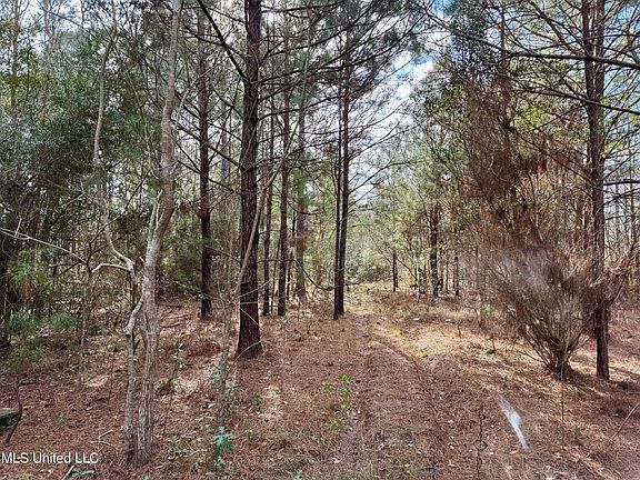 3rd image of 7190 Cantania Rd