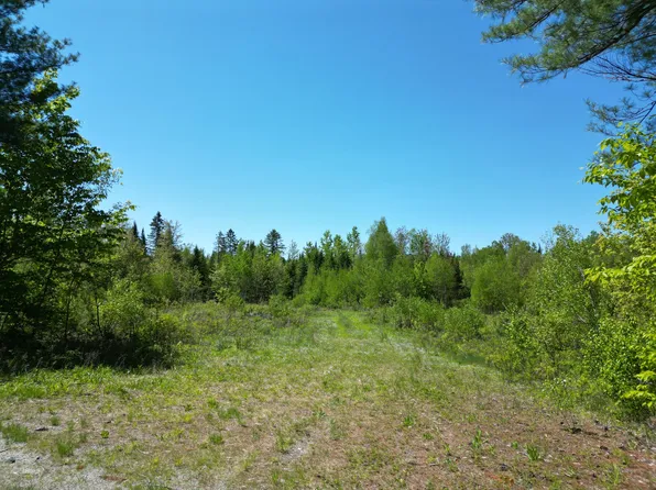 Lot 5 Fogg Brook Road, Lowell, ME 04493