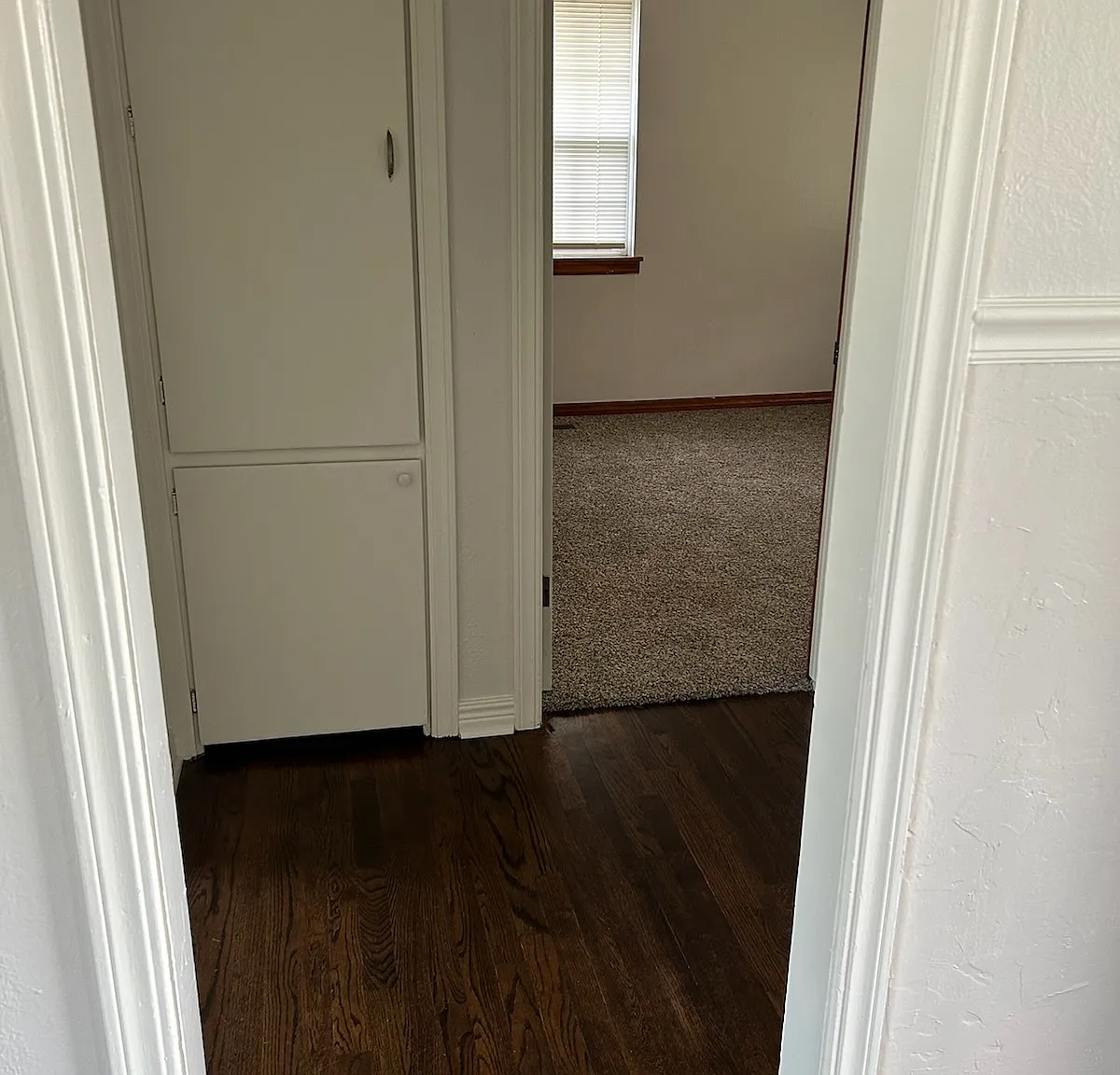 2 bed, 900 sqft, $1,000 — Photo 2