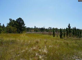 57 Quinton Ricard Rd, Leesville, SC 29070