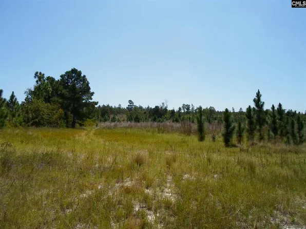 57 Quinton Ricard Rd, Leesville, SC 29070