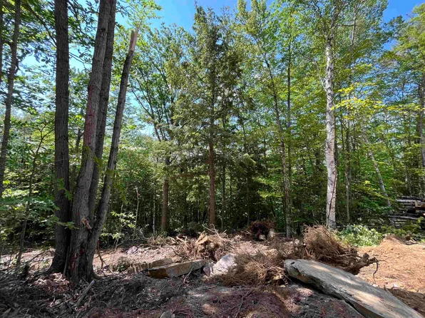 000 Echo View Drive #8, Plymouth, VT 05056