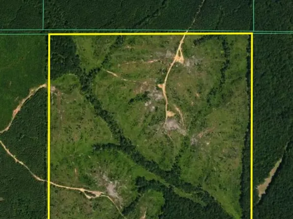 0 Cox Rd, Kilmichael, MS 39747
