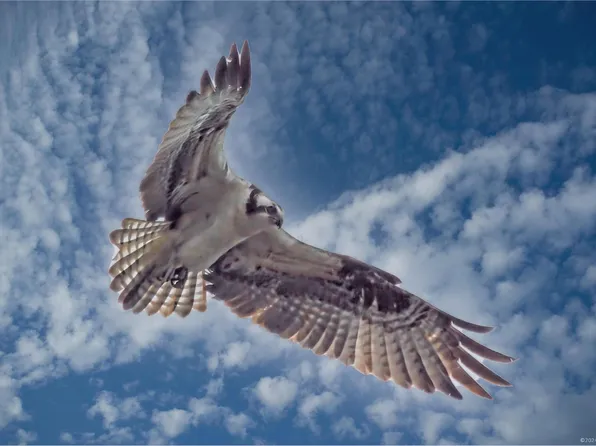 29 McBride Rd, Centennial, WY 82055