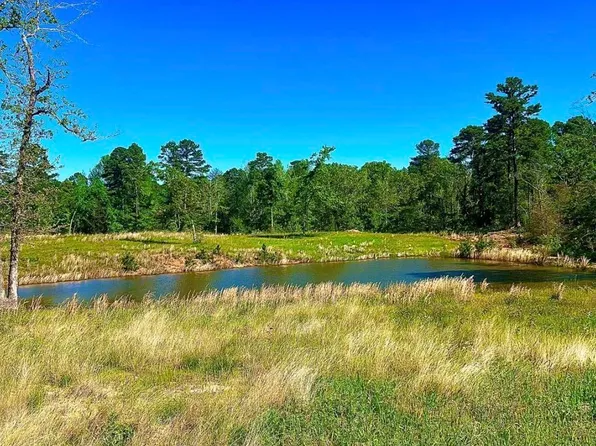 868 County Road 2920, Alba, TX 75410