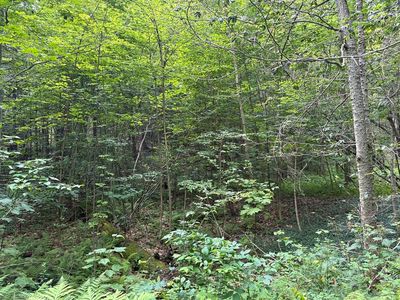 139 Taylor Brook Rd, Heath, MA, 01346