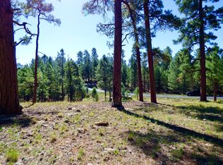 2096 Pine Canyon Dr LOT 196, Happy Jack, AZ 86024