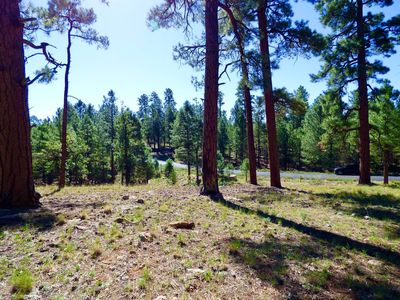 2096 Pine Canyon Dr LOT 196, Happy Jack, AZ, 86024