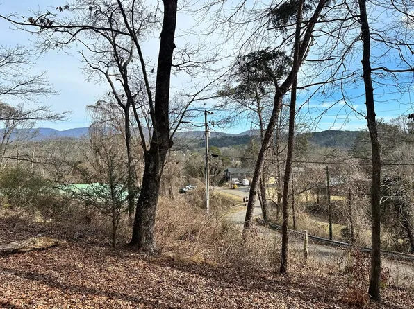 236 Logan Cir, Ellijay, GA 30540