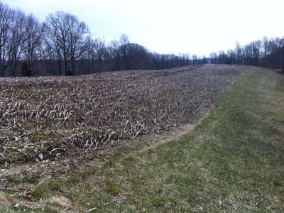 1705 NE Deep Hollow Rd, Mt Vernon, KY, 40456