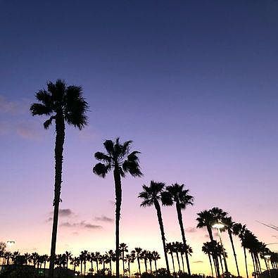 Sights of California.