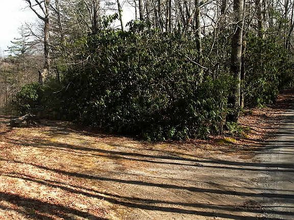 3rd image of 0 Wolf Knob Rd