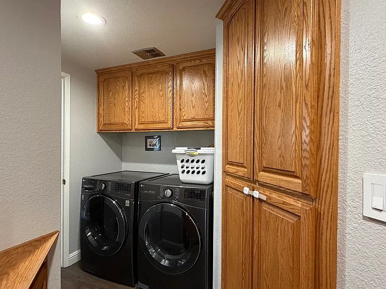 34344 Gadwall Cmn — Photo 11