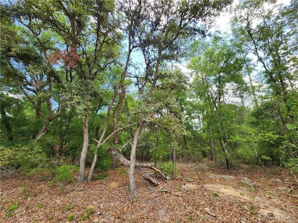 9017 N Ruby Way, Citrus Springs, FL 34434