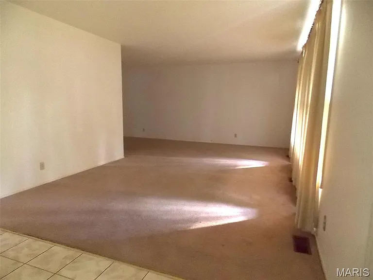 1007 Belleville St — Photo 3