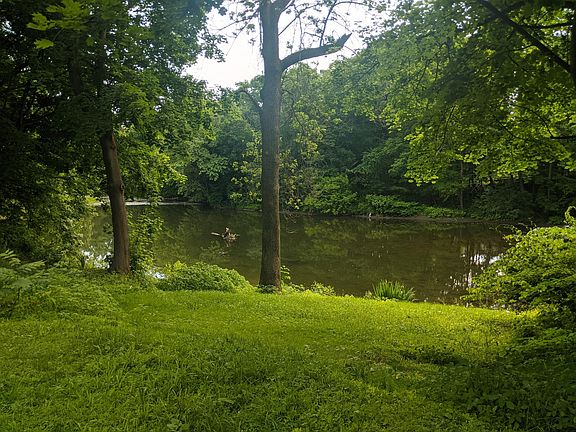 Wappinger Creek access