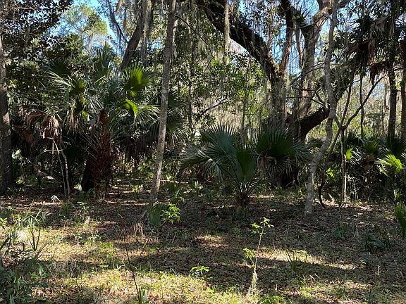 3rd image of Salt Marsh Trl