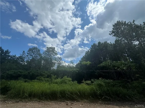 Arnoldville Rd Lot 4, Natural Bridge, NY 13665