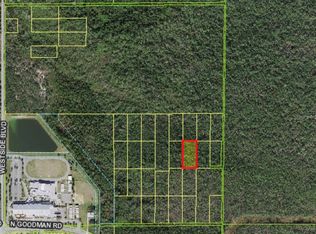 N Goodman Rd, Kissimmee, FL 34747