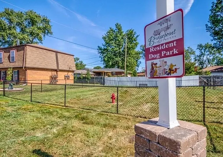 Dog Park