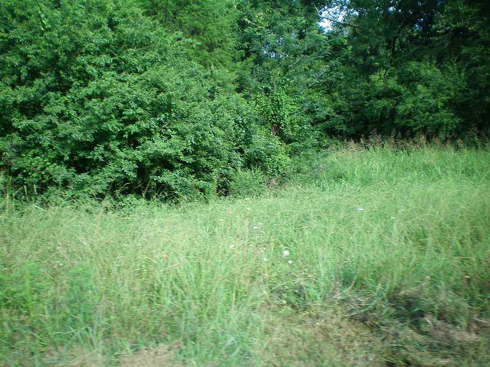 2nd image of 700 Co Rd