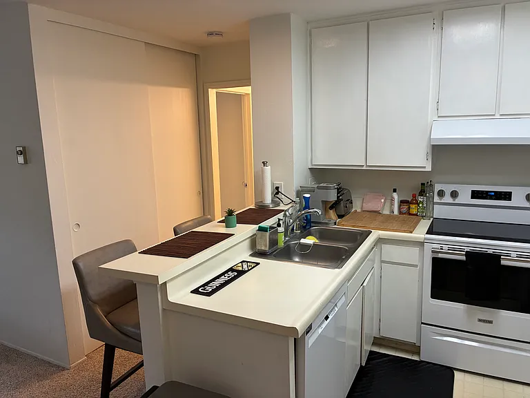 1775 Diamond St #1-235 — Photo 20