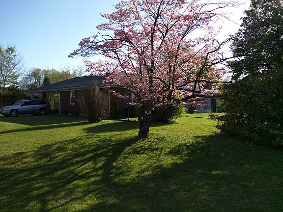 View from street corner