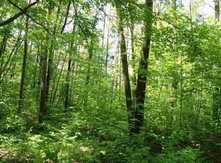 State Park Hwy #1, Interlochen, MI 49643