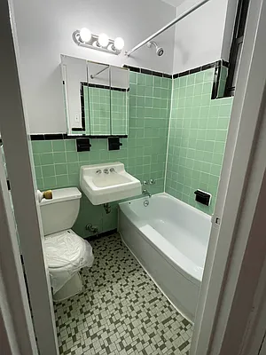 Rented by Eric Goodman Realty Corp | media 4