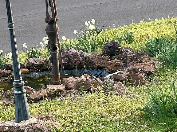 Koi pond and “gnome home”