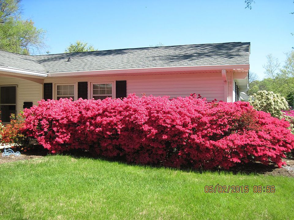 2nd image of 3305 Memphis Ln