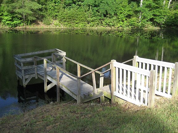 Pond with dock