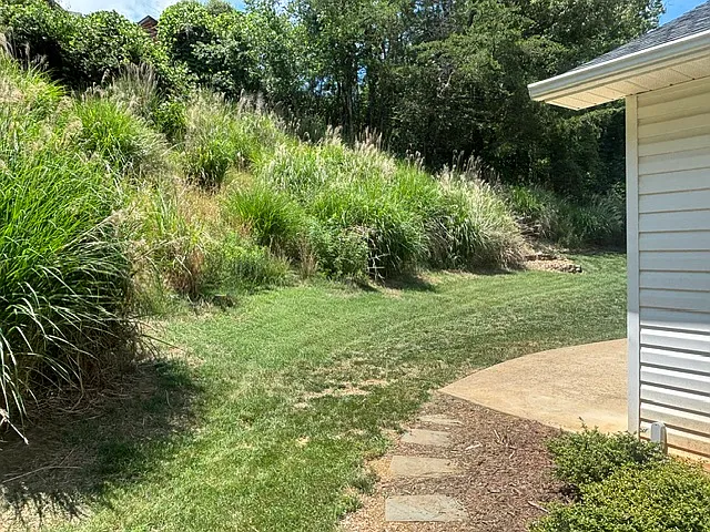 142 Reems Creek Rd — Photo 41