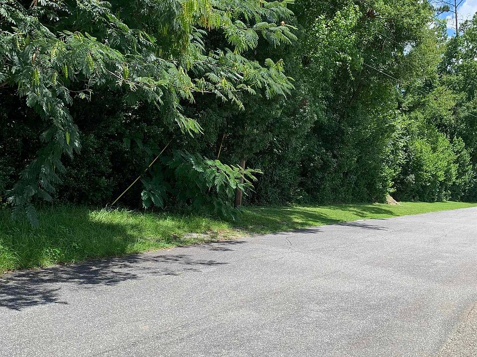 2nd image of Spring Ln