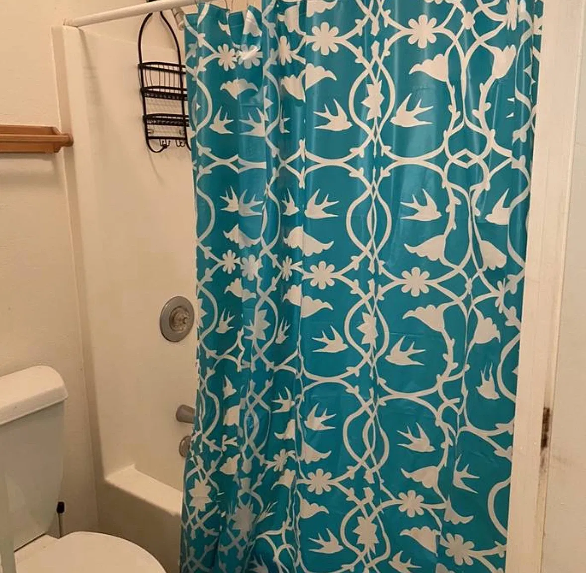 4 bed, 2000 sqft, $800 — Photo 4
