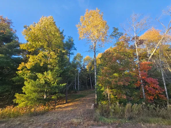 Bushey Rd, Danbury, WI 54830