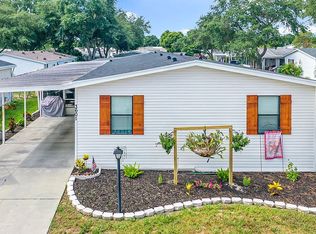3601 Petticoat Jct, Valrico, FL 33594