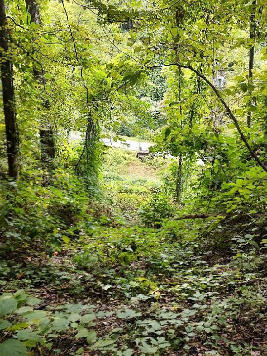 3748 Trail Hollow Rd, Hartford, TN 37753 MLS 9957450 Zillow