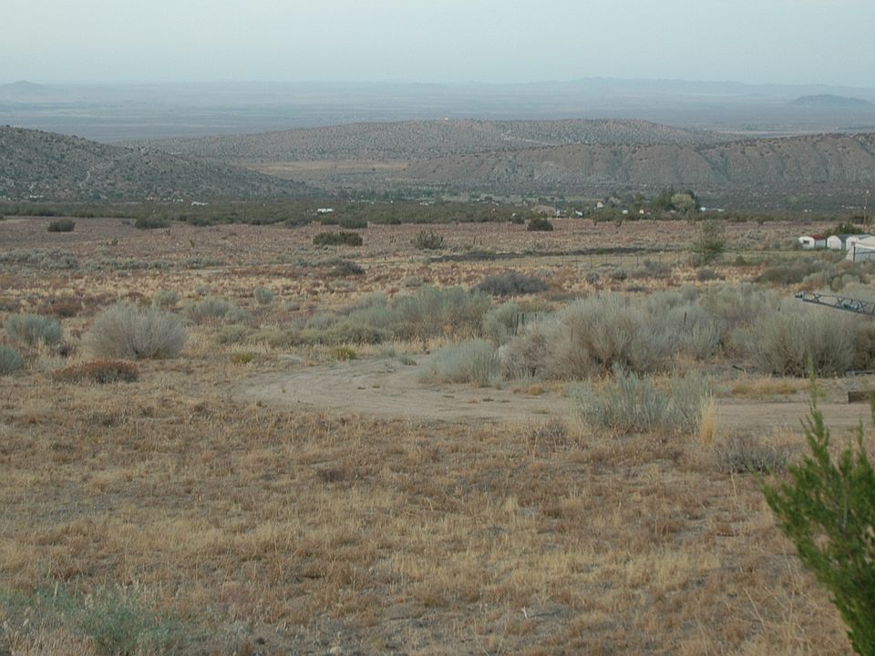 North to Antelope Valley