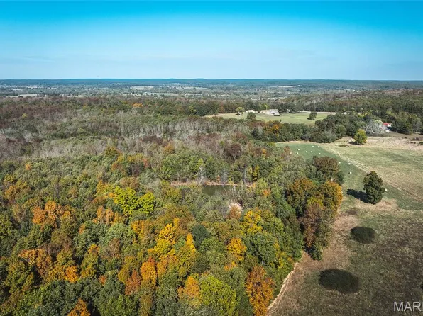 0 Drury Rd, Caledonia, MO 63631