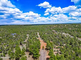 2255 Bootlegger Dr #1, Overgaard, AZ 85933