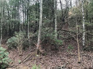 Butler Branch Rd, Gatlinburg, TN 37738