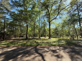 13959 County Road 201 Loop Lot 3, Plantersville, TX 77363