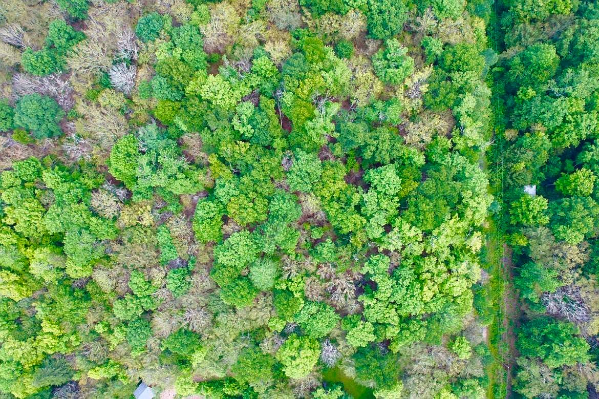 25 Maple Ln, Chester, NS B0J 3M0 MLS 202314722 Zillow