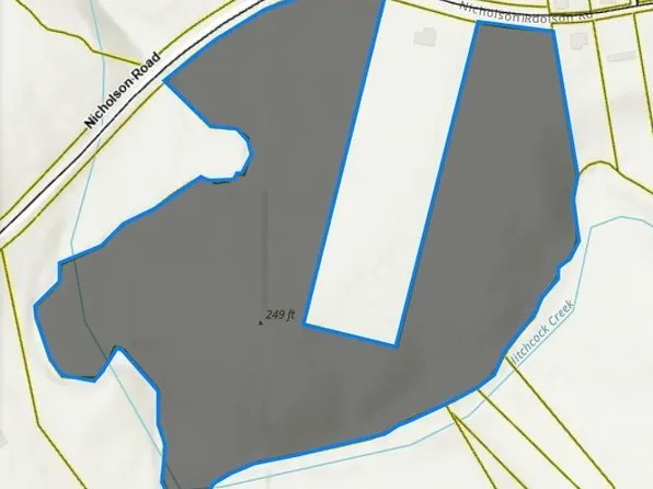 Tbd Nicholson Road, Rockingham, NC 28379