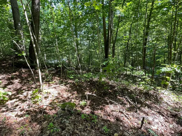 LOT 8D Eagle Heights Rd, Hiawassee, GA 30546
