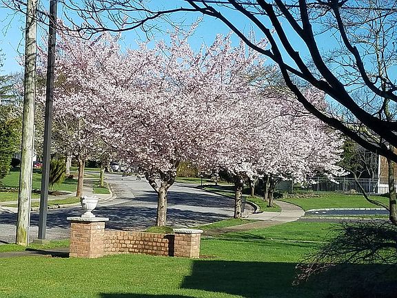 2nd image of 26 Lilac Dr
