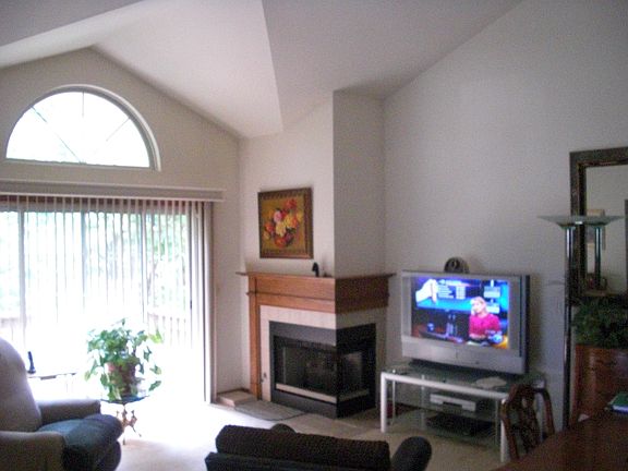 Vaulted ceilings, fireplace